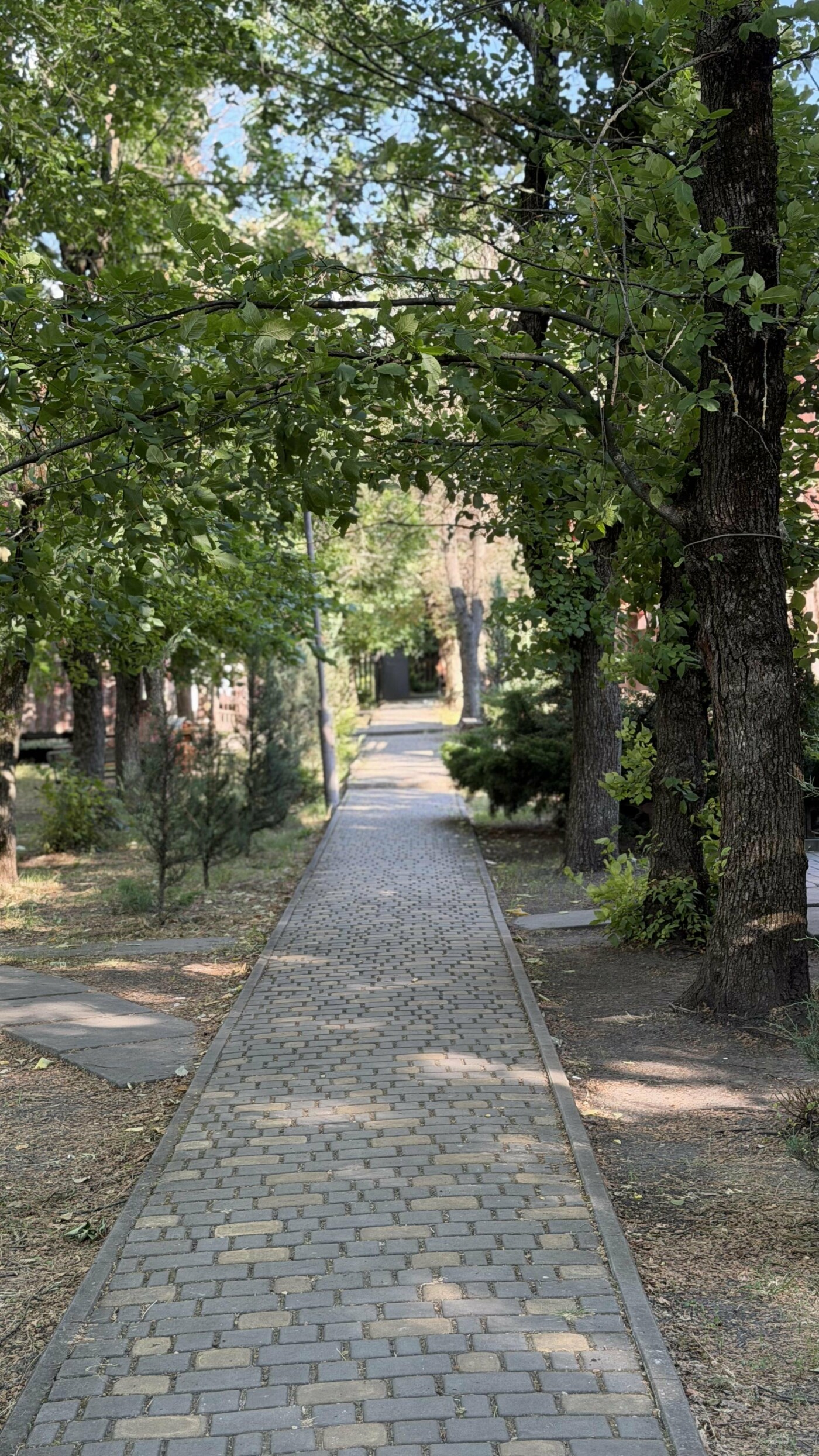 Літній відпочинок 2026 у Кривому Розі, фото-12 Літній відпочинок 2026 у Кривому Розі, фото-12