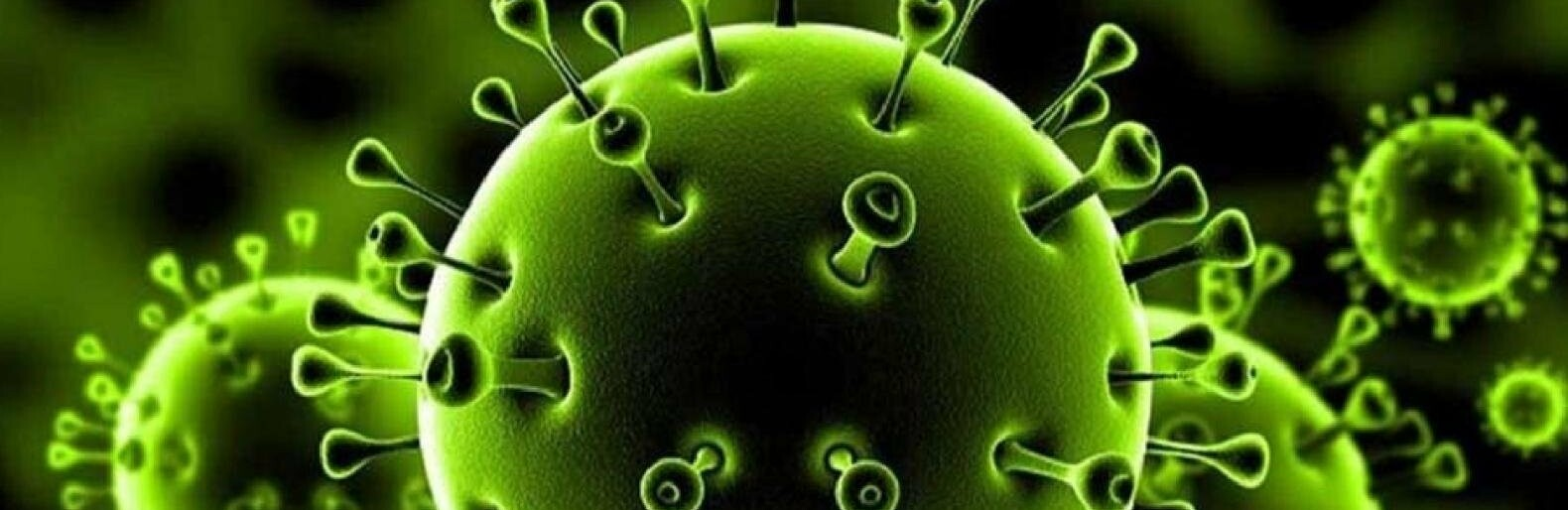 За минувшие сутки коронавирус унёс жизни ещё 9 криворожан