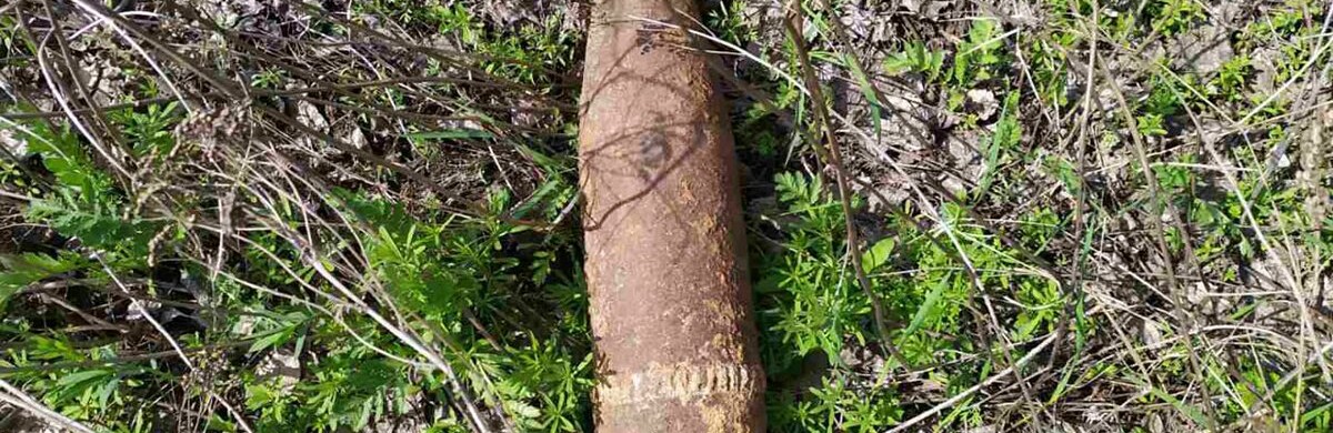 В Криворожском районе историки-поисковики обнаружили взрывоопасный предмет, - ФОТО