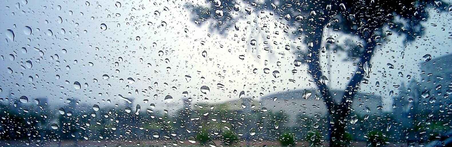 В среду погода в Кривом Роге ухудшится: будет дождливо, ожидаются грозы ...
 Дождливо