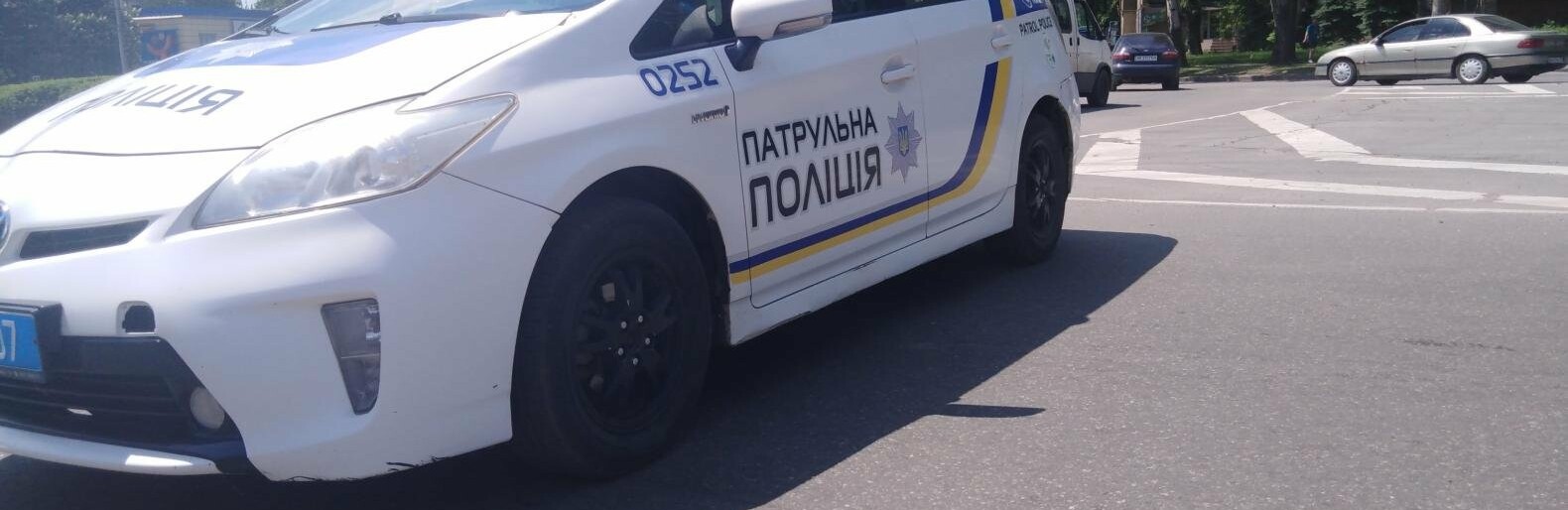 Обматерил полицейских и бил ногой по Prius: криворожанина наказали за нарушение правопорядка