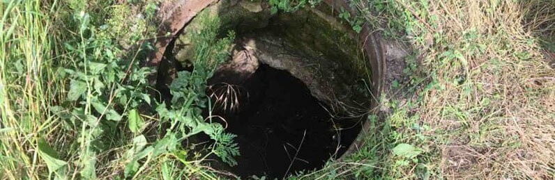 Криворожские спасатели спасли щенков упавших в канализационный колодец - ФОТО
