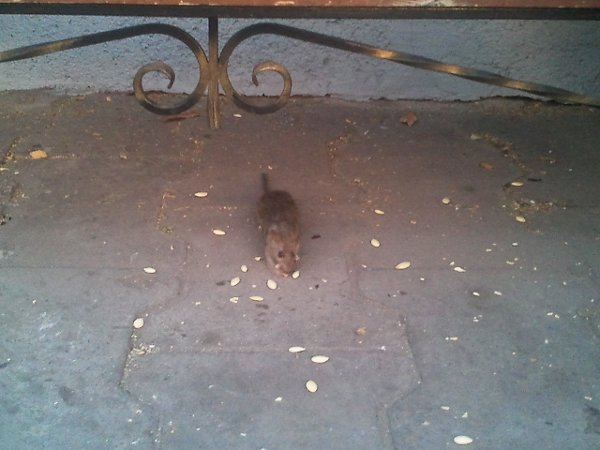 Фото0485 Фото0485