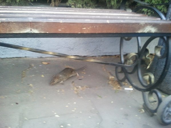 Фото0469 Фото0469