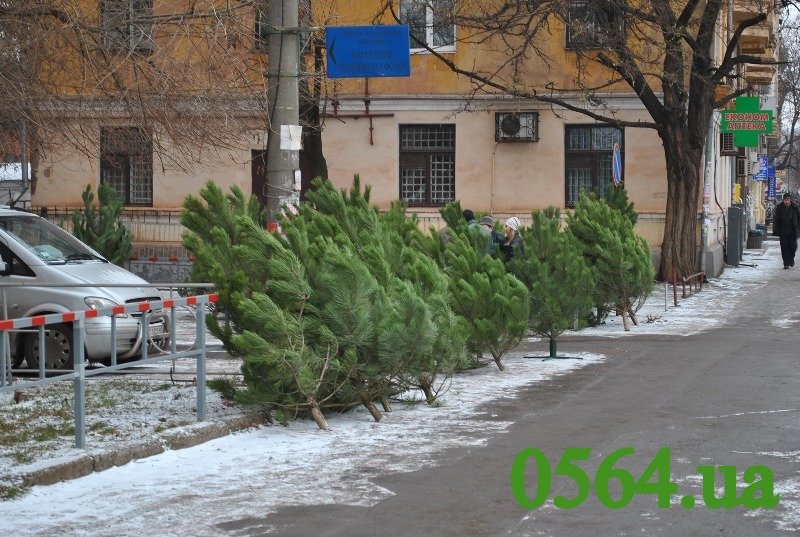 Изображение 002