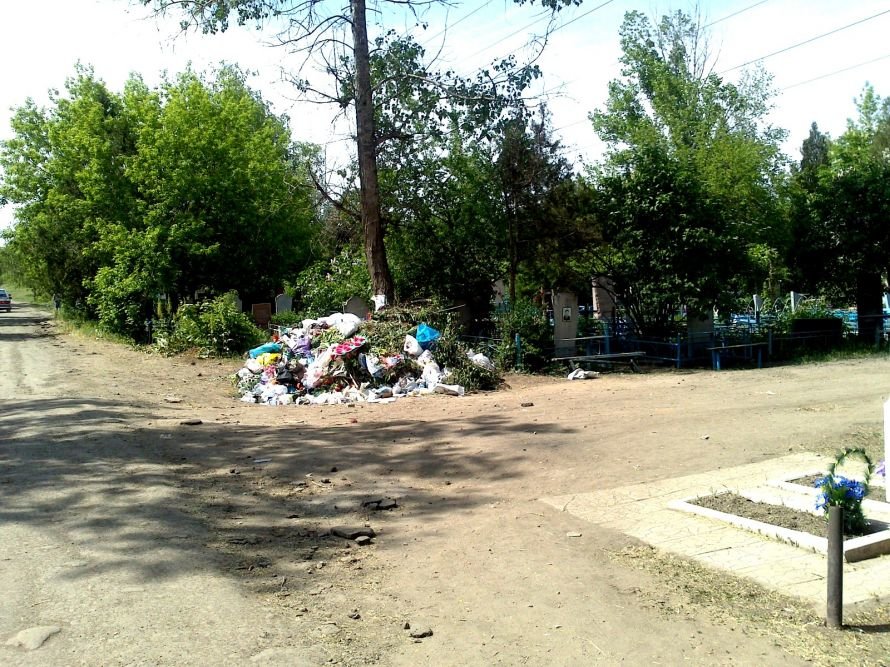 dsc_0024_13684308269