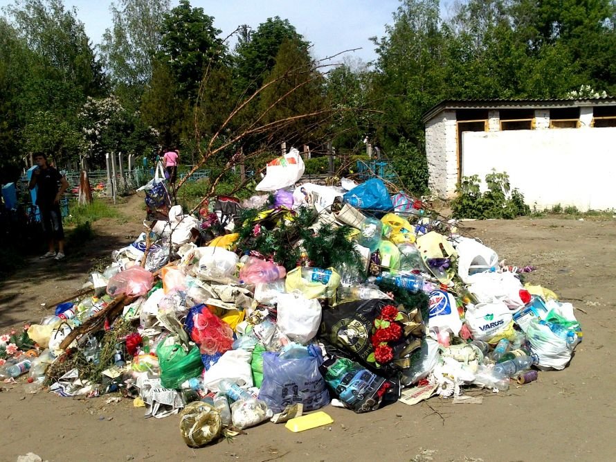 dsc_0023_13684308195