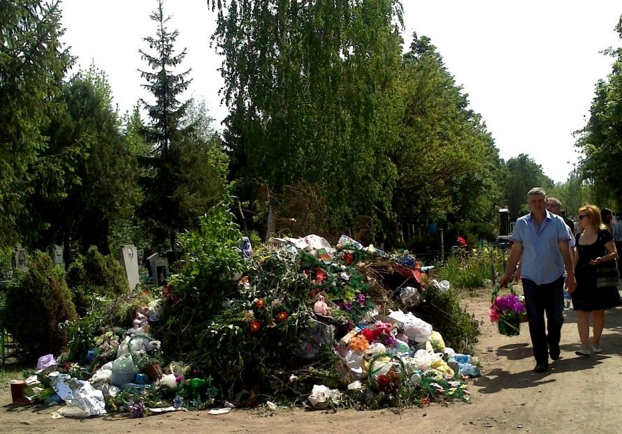 dsc_0019_136843079083