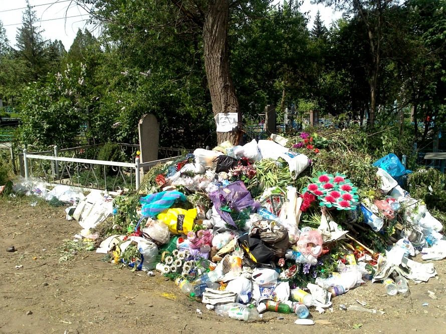 dsc_0025_136843083243