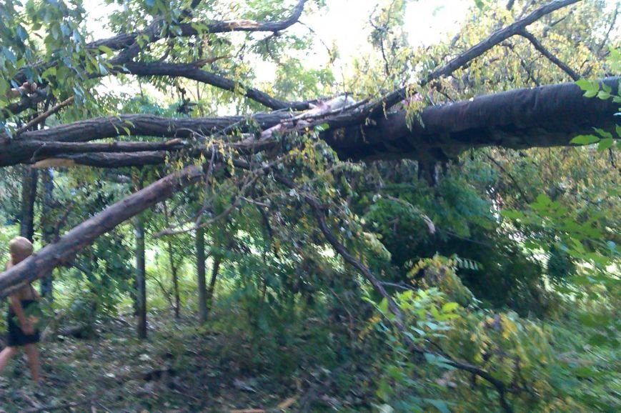 posledstviia_137296184595