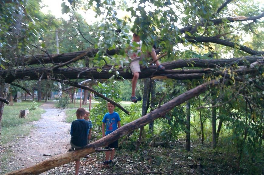 imag0318_137296187651