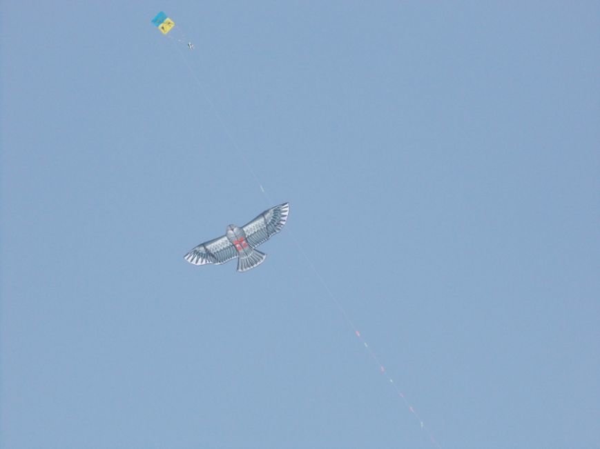 Кольорове небо 2013   6