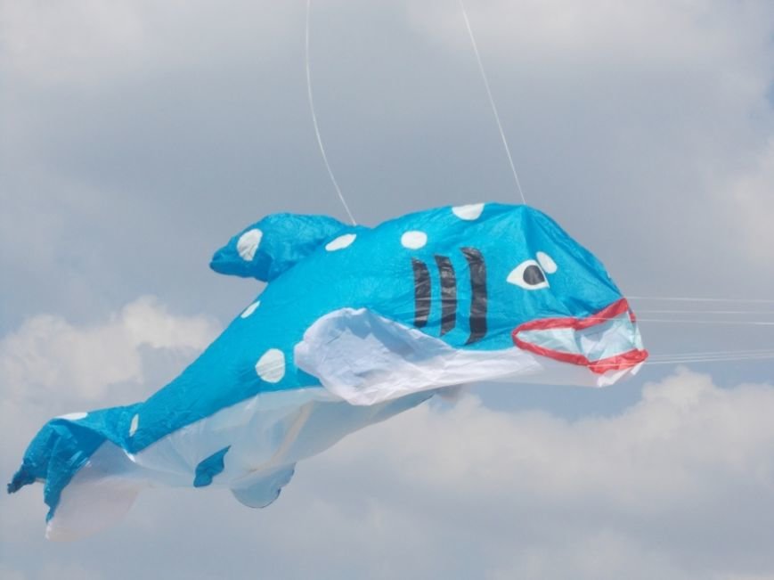 Кольрове небо 2013  4