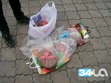 спаниель1