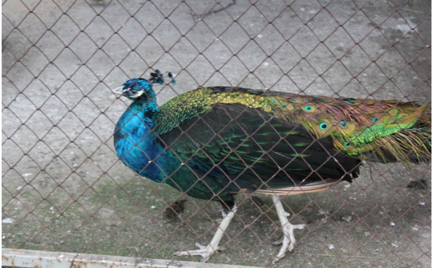 Снимок-3 Снимок-3