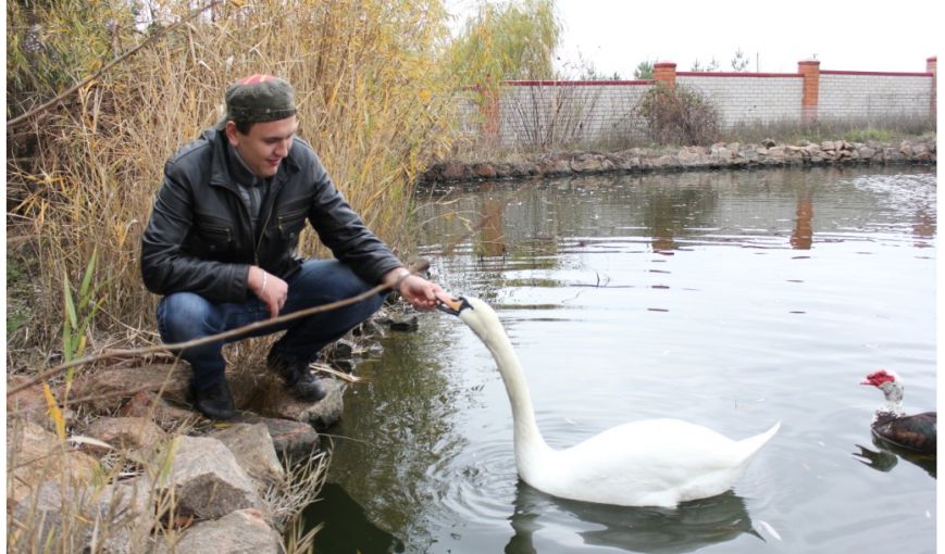 Снимок-6 Снимок-6