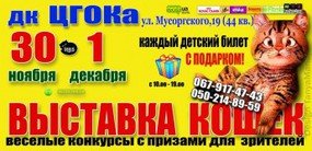 кошки кошки