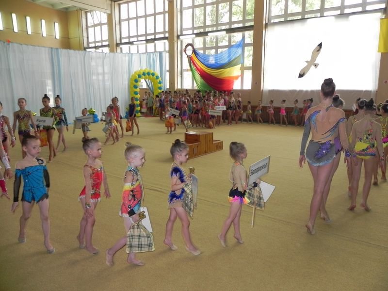 Юные криворожанки приняли участие во Всеукраинском турнире по художественной гимнастике «Азовские чайки» (ФОТО, ВИДЕО) (фото) - фото 1