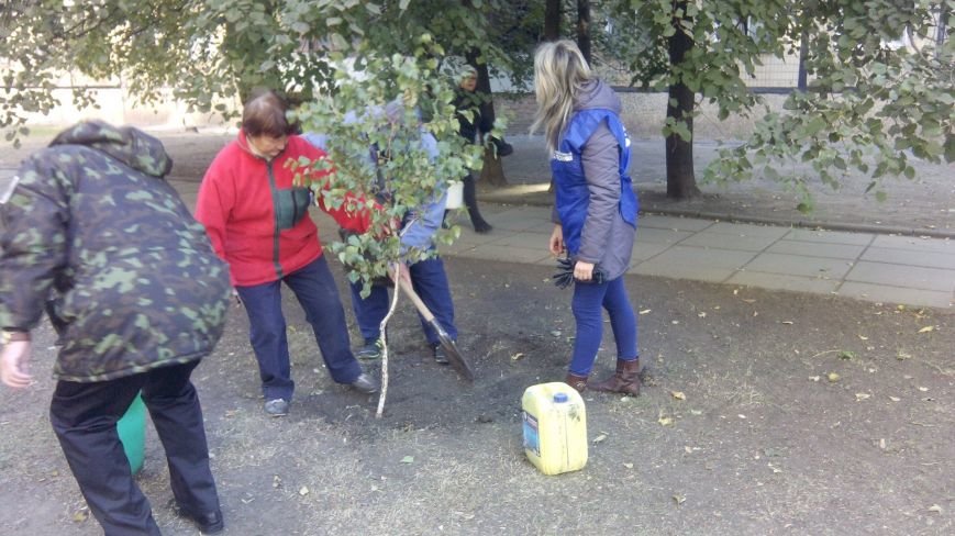 Избирательная компания продолжается (фото) - фото 1